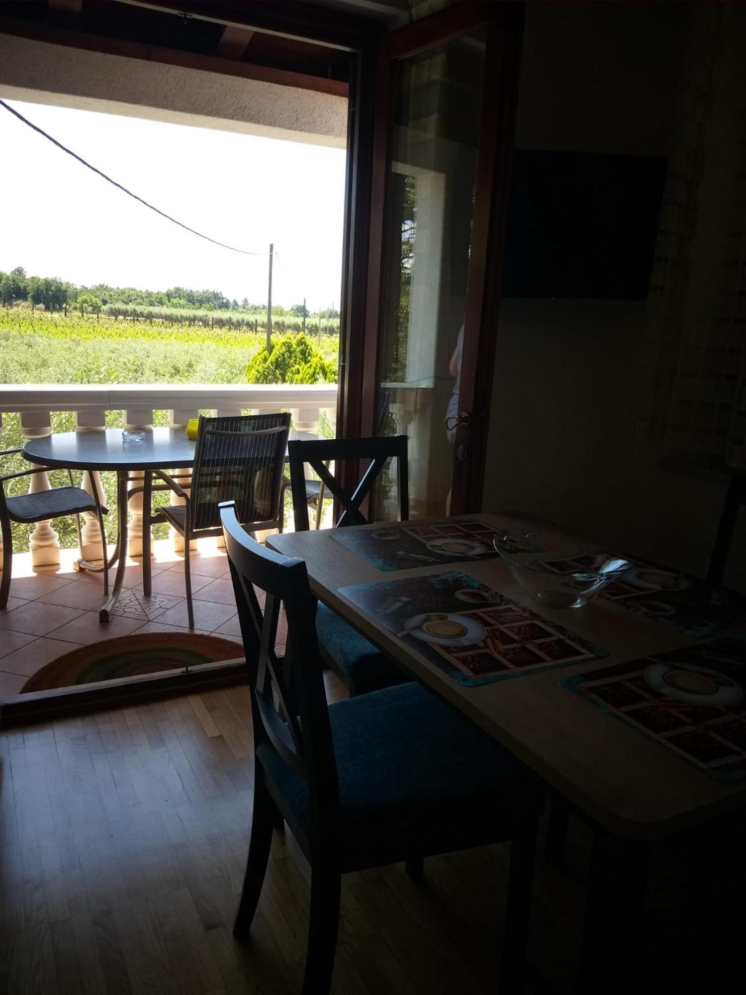Sanja Sveti Servul Novigrad Istria
