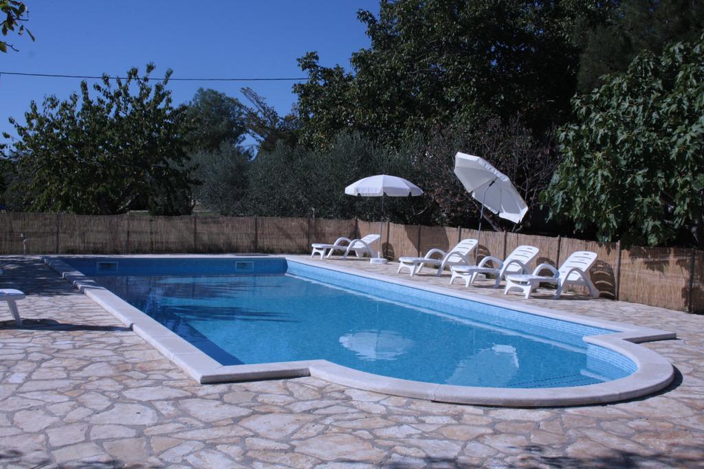 Sanja Sveti Servul Novigrad Istria