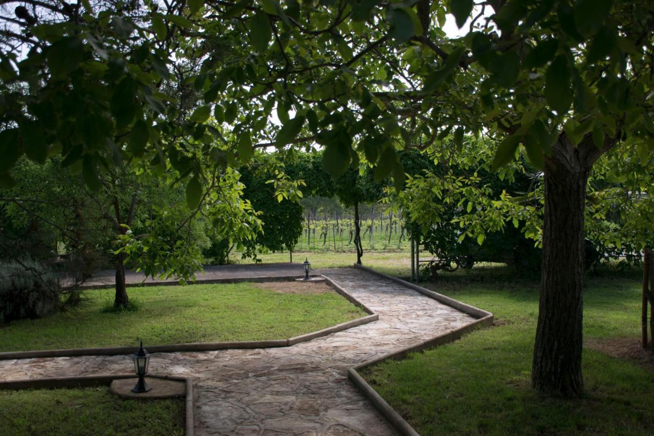 Apartment Sanja Sveti Servul Novigrad Istria