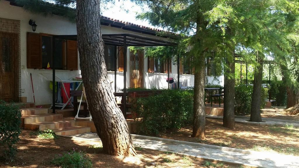 Sanja Sveti Servul Novigrad (Istria)