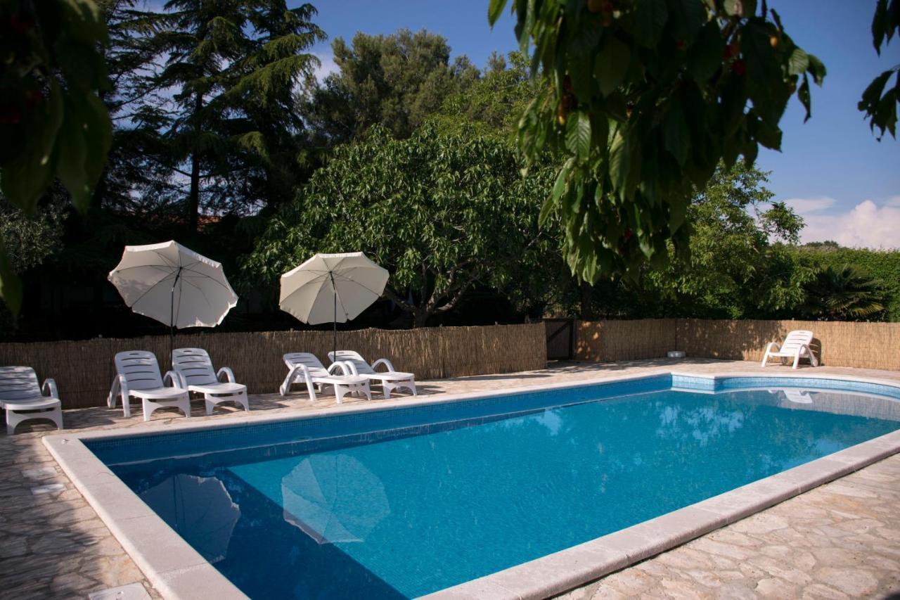 Sanja Sveti Servul Novigrad (Istria)
